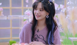 娱乐圈吃瓜白鹿是谁啊,娱乐圈新晋吃瓜焦点人物揭秘